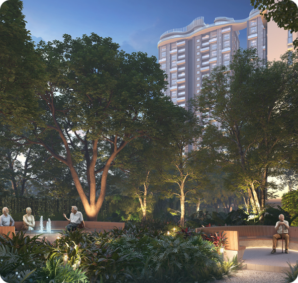 Portfolio Image